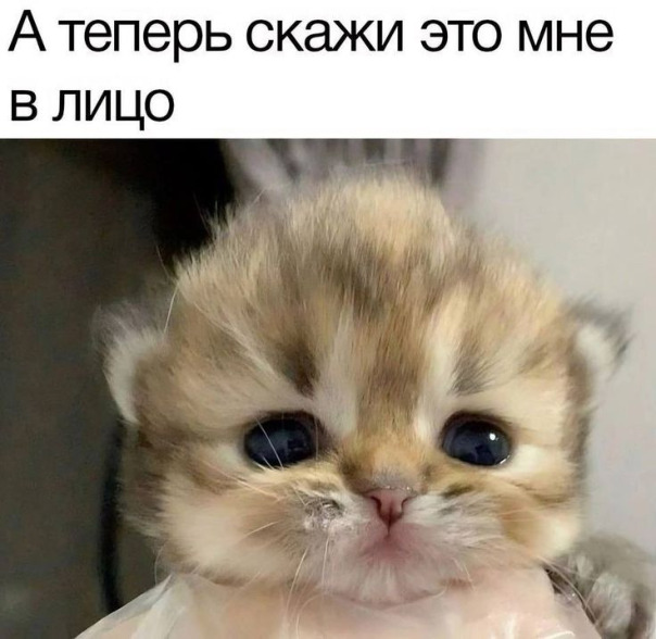 Антон Ктошик