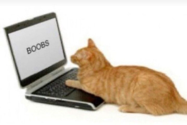 Максим Жижоу