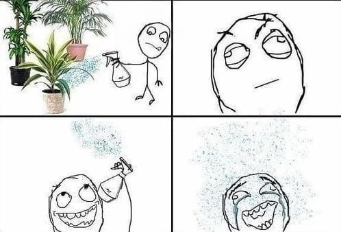 Фотографии со стены