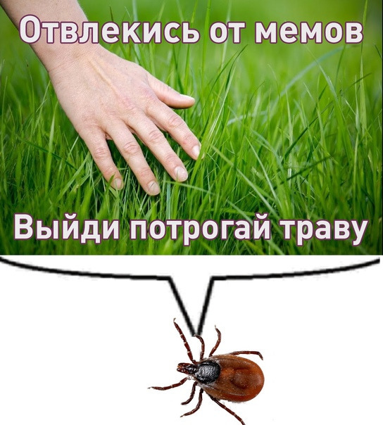 Фотографии со стены