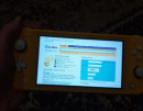 old-web на nintendo switch lite