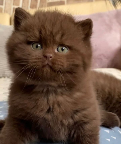 Conquerpro Conquerpro