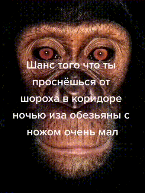 обезьяна убийца