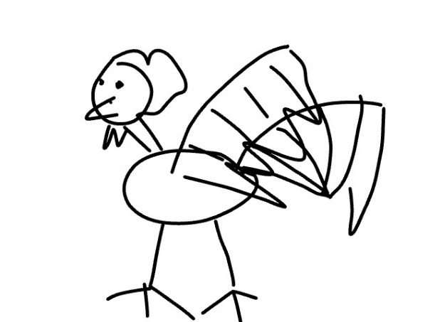 Фотографии со стены