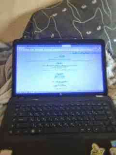 Фотографии со страницы