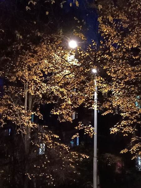 Фотографии со стены