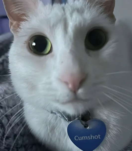 Тимофей Комолов