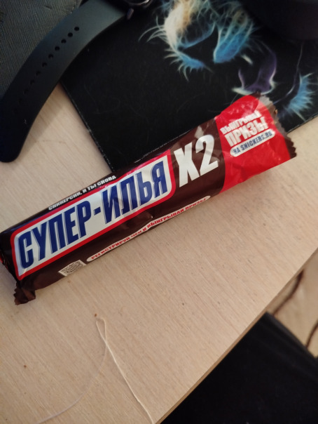 Илья Пономарев