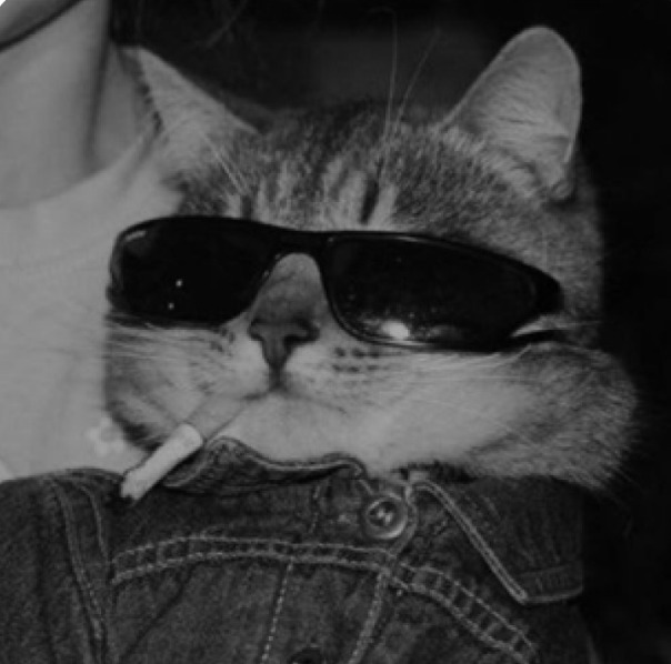 Фотографии со страницы