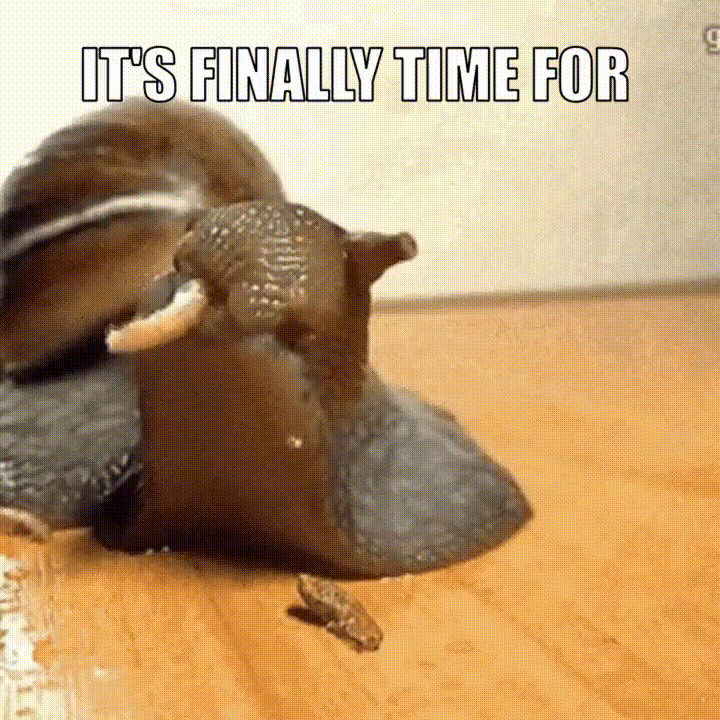 tumblr_qxu6waSOM71qfpi2q