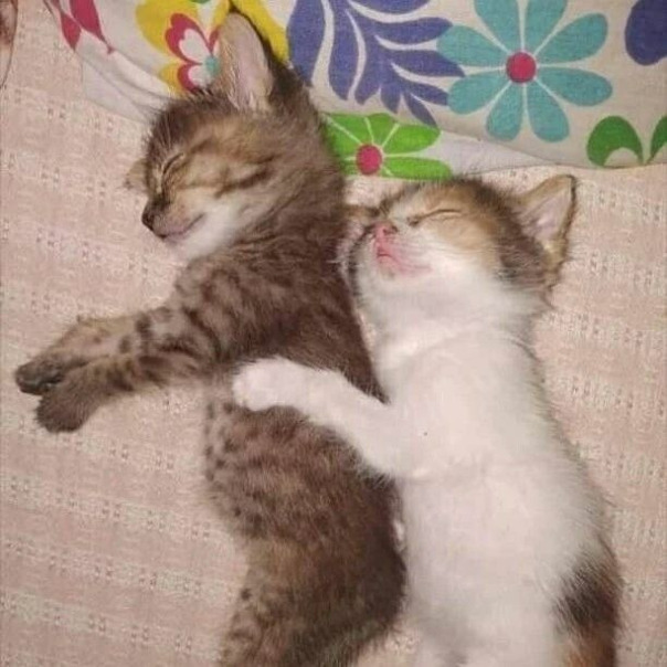 Фотографии со стены