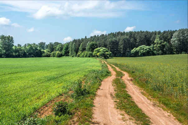 Никита Невретдинов