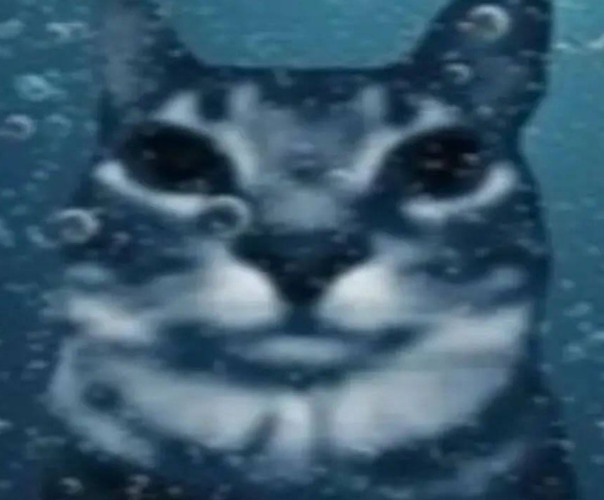 Алёша Олололоев