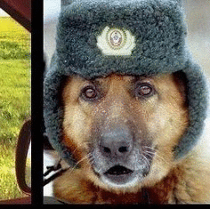 Смолин Воеводин