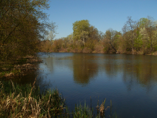 Фотографии со стены