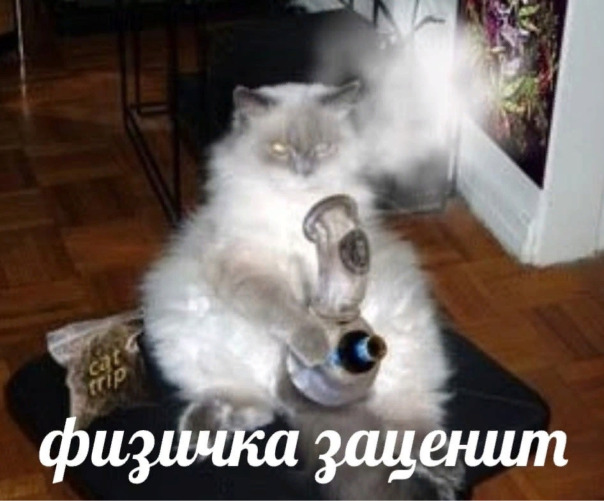 Обкуренный Кот