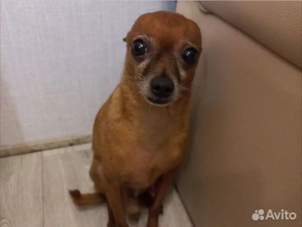 Фотографии со стены