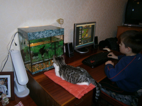 Фото 2012, мне 6 лет. Играю в игры👍👍👍