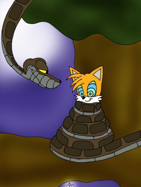 Фотографии со стены