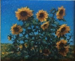 Фотографии со стены