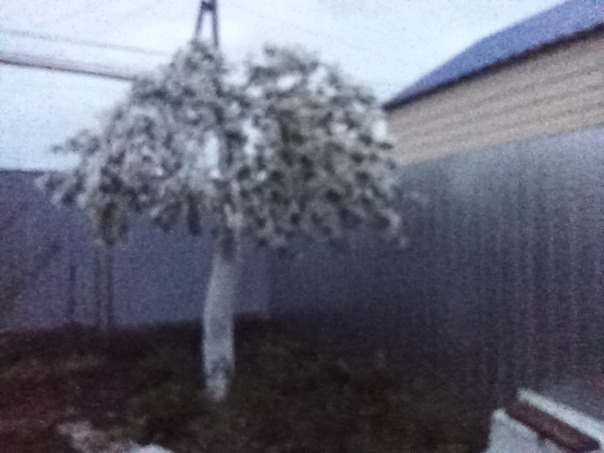 Фотографии со стены