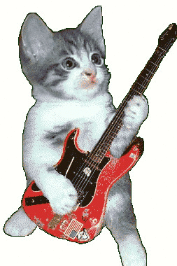 Фотографии со страницы