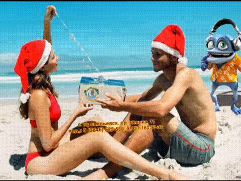 омон лягушка прокопьевск