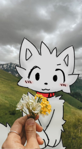 Фотографии со стены