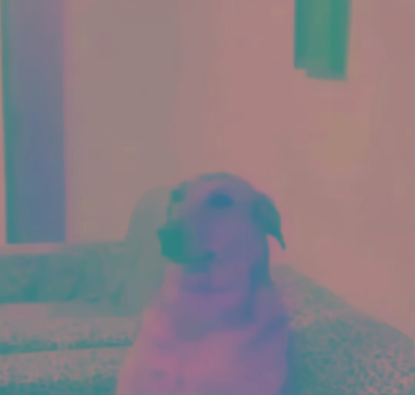 Жорик Пылесосенко