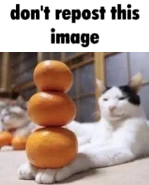 Фотографии со стены