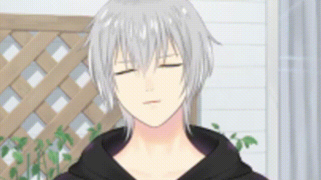 mocap windows brother