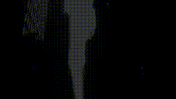 do not reproduce.mp4