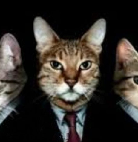 Ростлер Дибилка