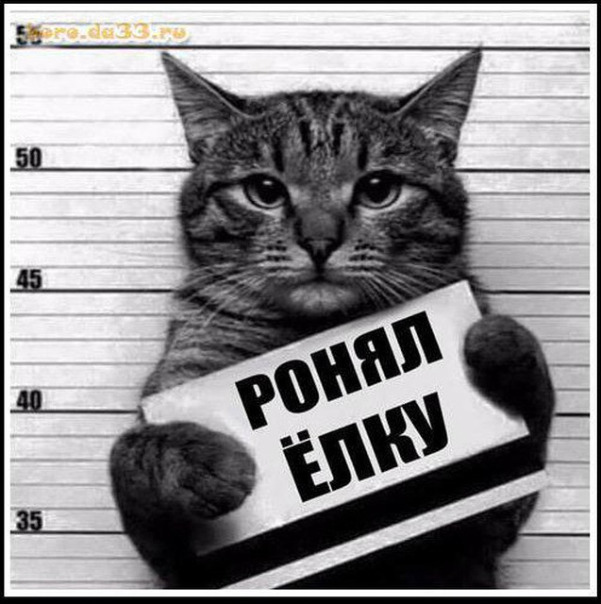 Дабстеп Мысливец