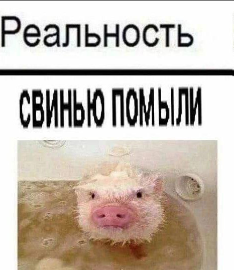 Фотографии со стены