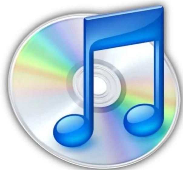 Илья Сорокин