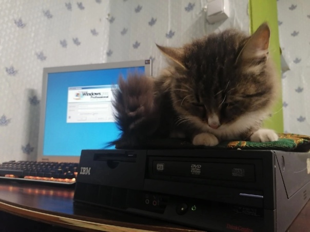 Фотографии со стены