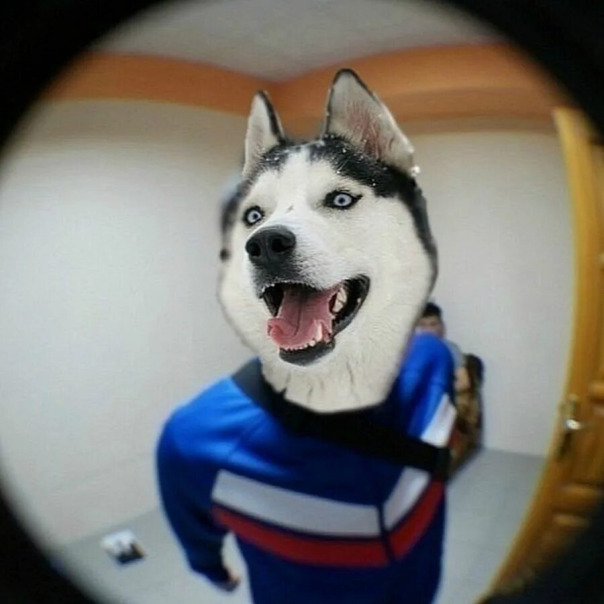 Ваня Ерохин