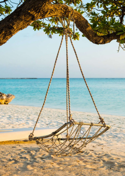 Нипон Нипонович