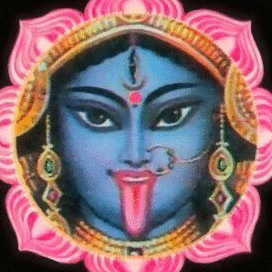 Фотографии со страницы