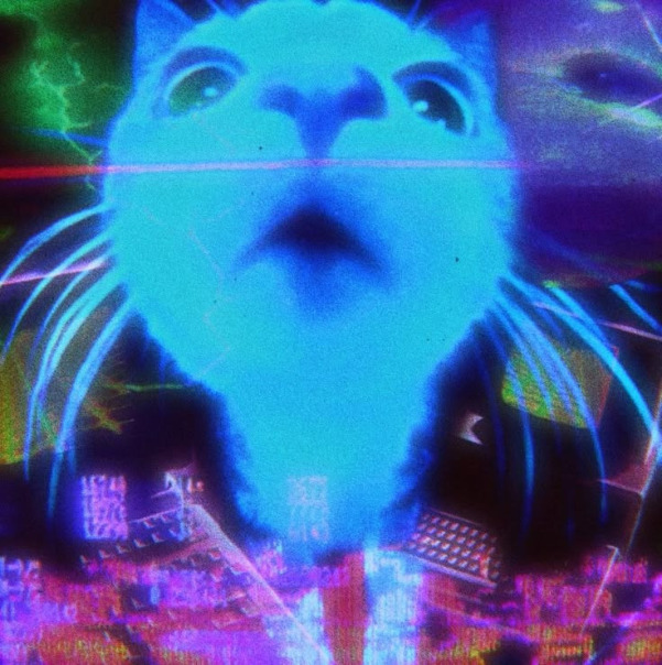 Коки Нерял-Фейк