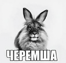 Фотографии со стены