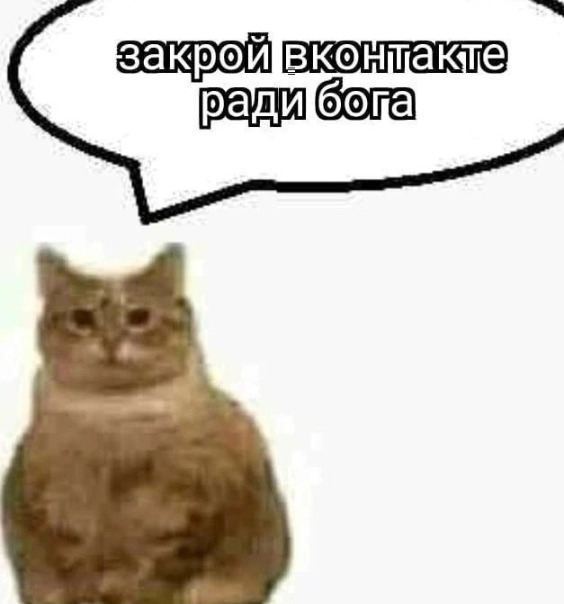 Фотографии со страницы