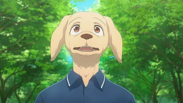 Фотографии со страницы