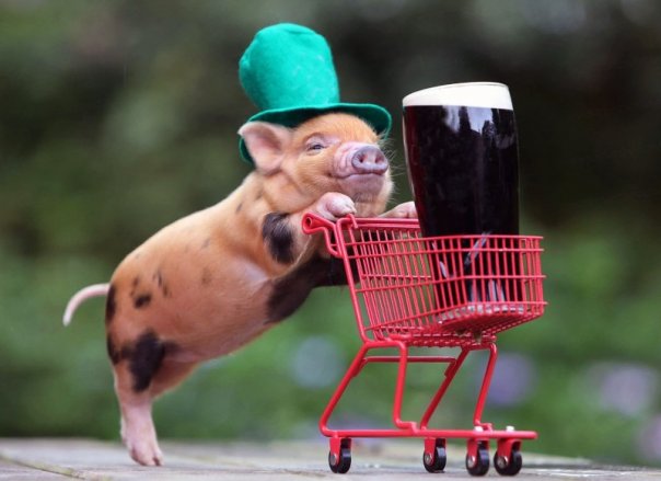 Ярослав Тролищев