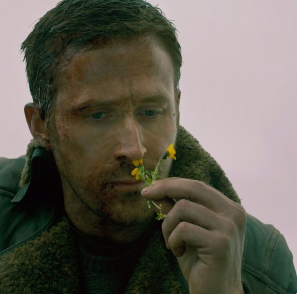 ежедневный интересный факт

однажд...