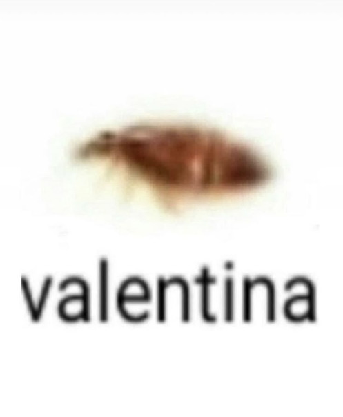 Валя Фоминова