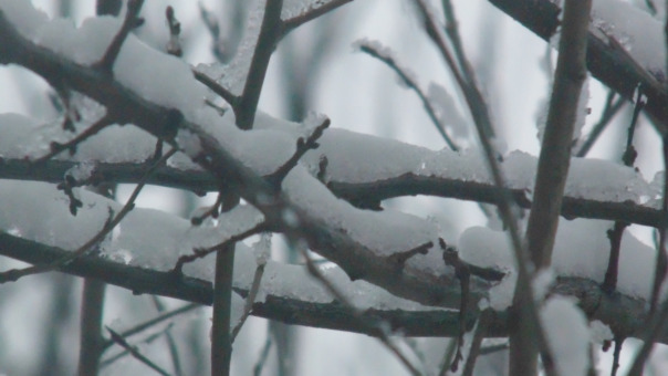 фотки с фотика 