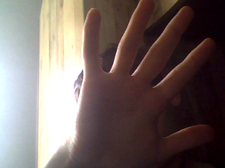 Глеб Алексеев