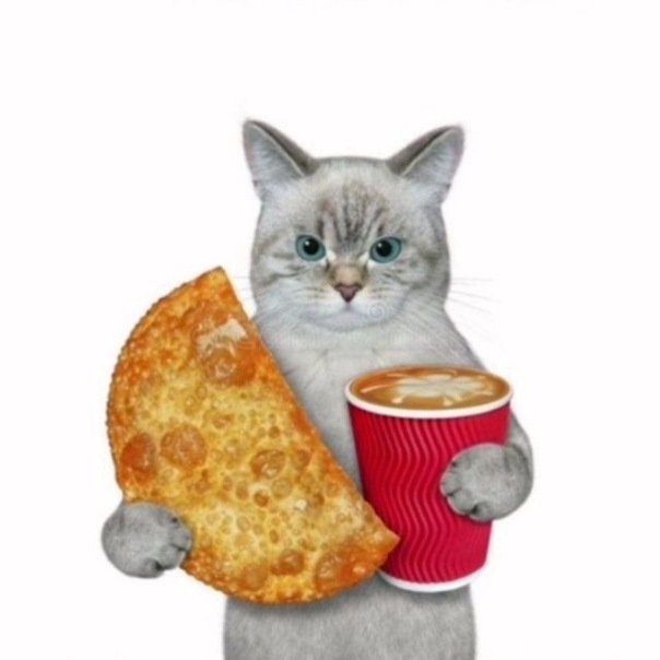 Фотографии со страницы